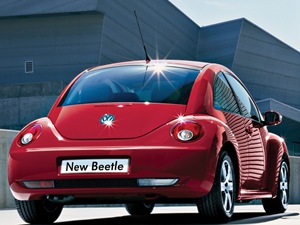 Beetle