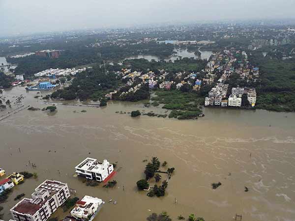 98 dead bodies found floating in Chennai Flood