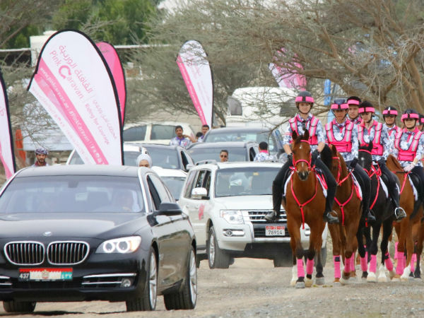 essays about breast cancer awareness essays about breast cancer awareness
