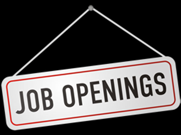 Walkin For Software Manual Testing @ Chennai Walkin For Software Manual Testing @ Chennai
