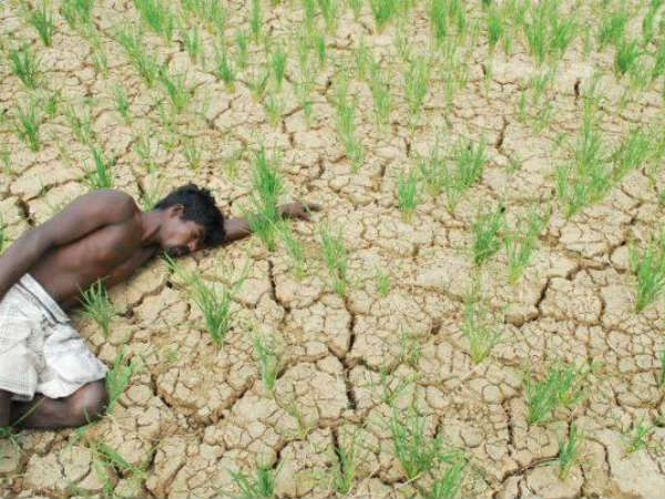 120 விவசாயி மரணம்