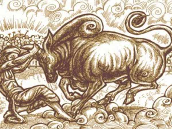 Jallikkatu- Pongal special story