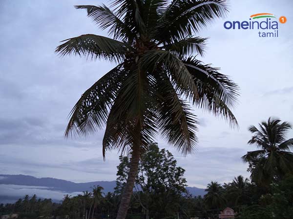 Jallikkatu, a mini Pongal special series
