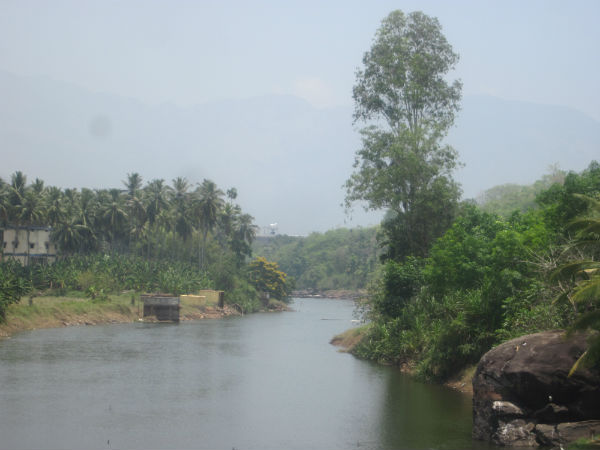 Jallikkatu- Pongal special story