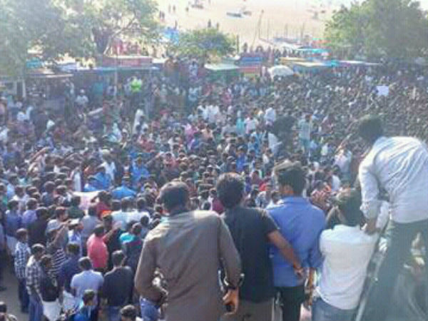 Rally in Chennai Marina demanding Jallikattu!