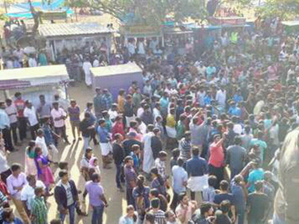 Rally in Chennai Marina demanding Jallikattu!