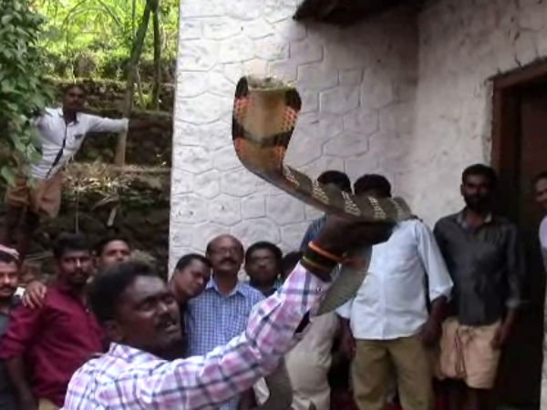 காட்டுக்குள்..