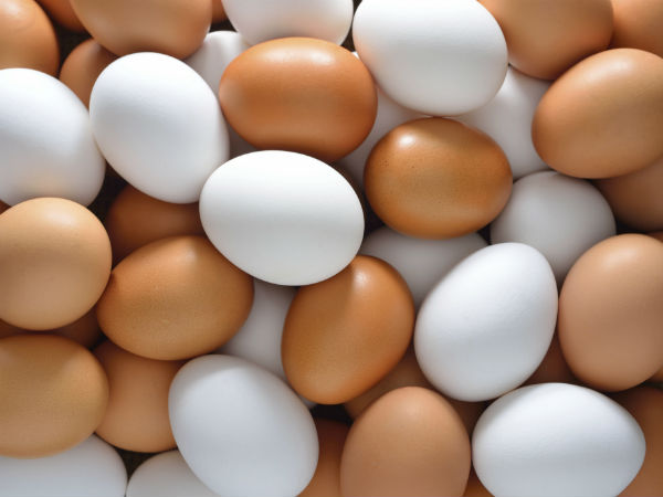 Is Plastic eggs true or untrue? Is Plastic eggs true or untrue?