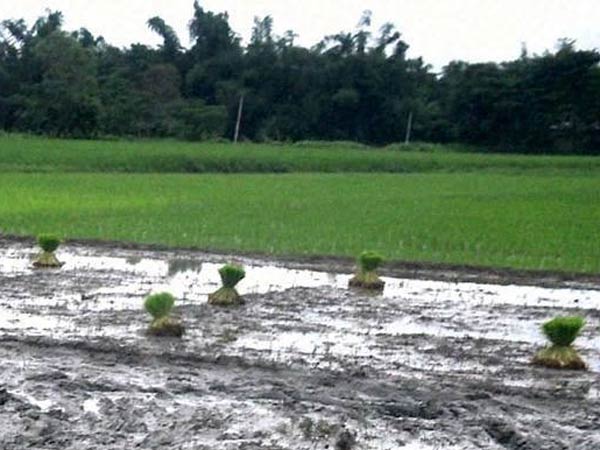 நிராகரிப்பு