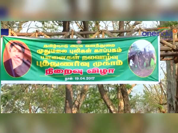 Rejuvenation camp for temple elephants ends Rejuvenation camp for temple elephants ends
