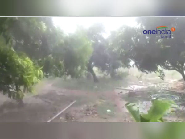 உதகையில் மழை