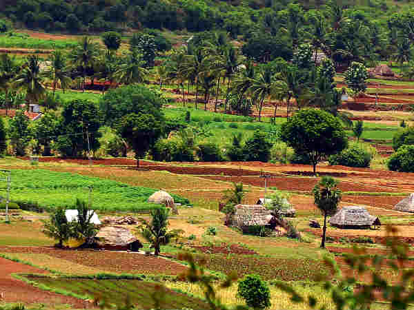 சூறையாடப்பட்ட வீடுகள்