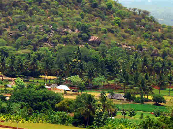 விடியாத வாழ்க்கை