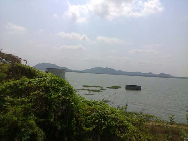 முறையாக பராமரித்தால்..