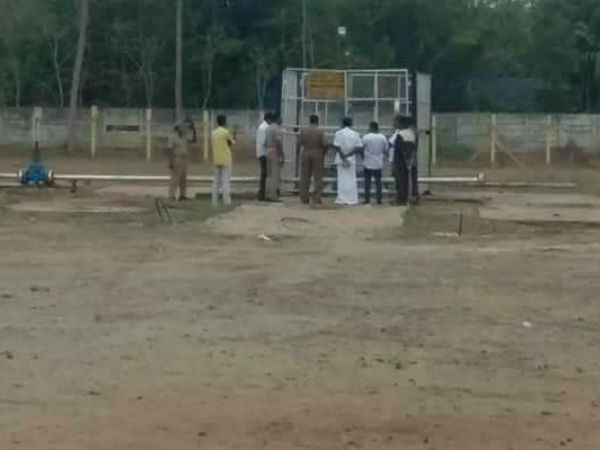பட்டுப்போன தென்னை மரங்கள்