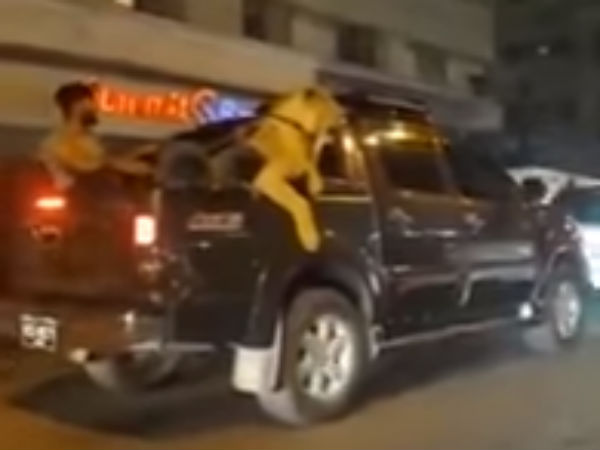 A Pakistani man caught by police while he was driving with Lion A Pakistani man caught by police while he was driving with Lion