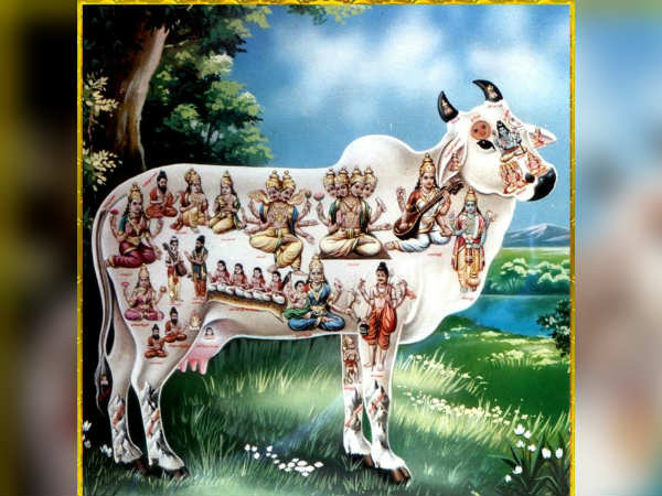 பாபங்கள் போக்கும்