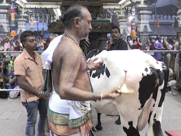 கோபூஜை
