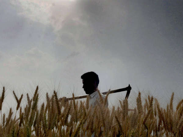 17 பேர் மட்டும் இறப்பு
