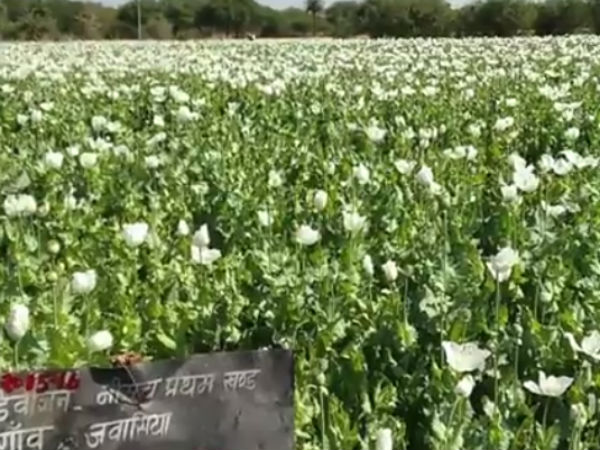 மருந்து கம்பெனிகளுக்கான தயாரிப்பு