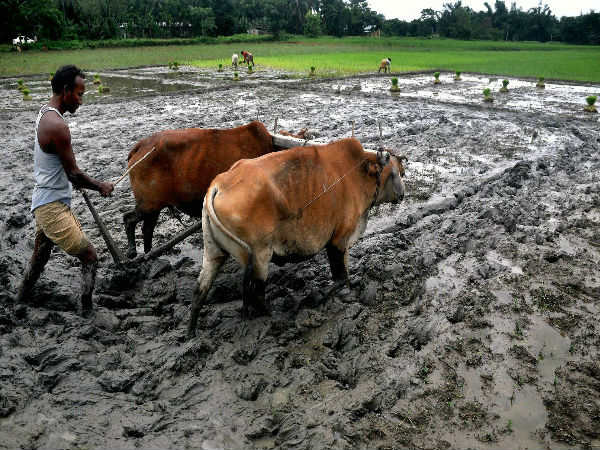 காசு இல்லை
