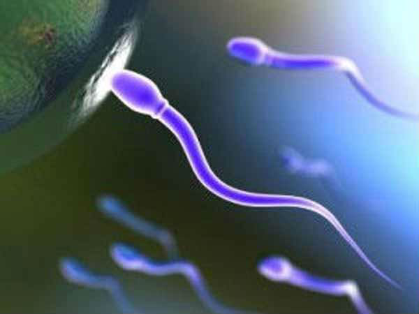 விந்தணு அதிகரிக்கும்