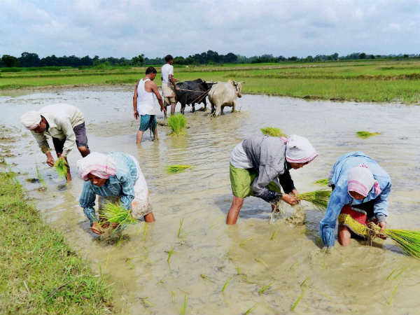 SC passes interim ban to waive off the cooperative loans SC passes interim ban to waive off the cooperative loans