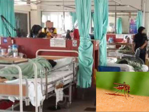 Dengue spreads in Madurai Dengue spreads in Madurai