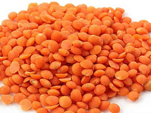 Highcourt's Madurai branch stayed the tender process of Maser Dhal procurement Highcourt's Madurai branch stayed the tender process of Maser Dhal procurement