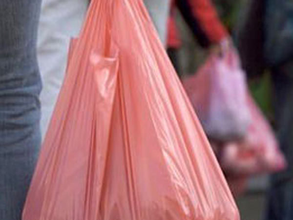 Nellai collector advised people not to carry plastics for Sorimuthu Ayyanar temple festival Nellai collector advised people not to carry plastics for Sorimuthu Ayyanar temple festival
