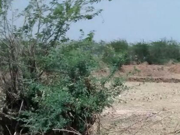 தமிழக அரசுக்கு உத்தரவு