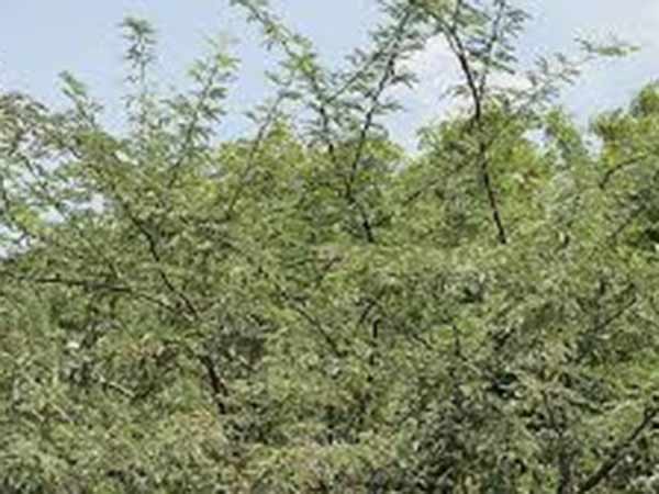தமிழக அரசு மீது குற்றச்சாட்டு