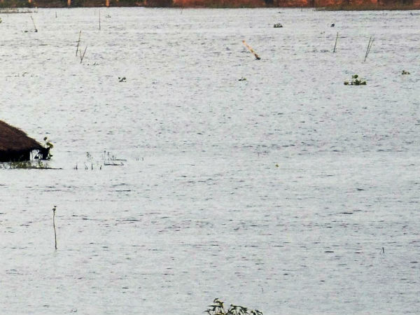 வீடு வேண்டாம்