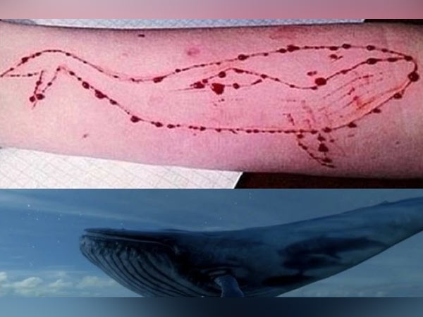 31-1504168016-blue-whale-game-challengin