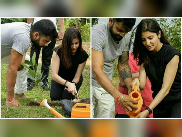 Virat Kohli and Anushka Sharma planting a sapling in Sri Lanka