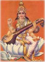 Saraswathi 
