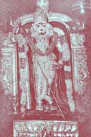 Maruthamalai Murugan