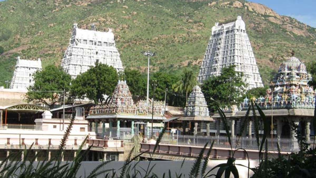 மே 10-இல் சித்ரா பௌர்ணமி... திருவண்ணாமலைக்கு 2,100 சிறப்பு பேருந்துகள் |  Chithirai Pournami: 2,100 special buses ply to Thiruvannamalai - Tamil  Oneindia