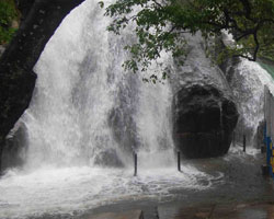 Courtralam falls