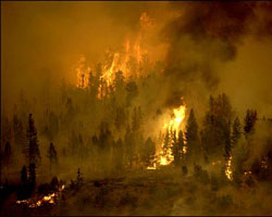 Forest fire spread across thousands of acres in the desert area around Palm Springs in California