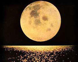Moon Moon