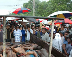  Bodies of black tigers (Suicide squad) killed in Anuradhapura attack