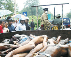 Bodies of black tigers (Suicide squad) killed in Anuradhapura attack