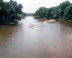 Cauvery River