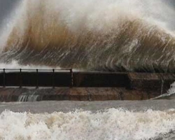 Waves Waves