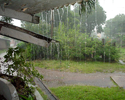 Rain Rain