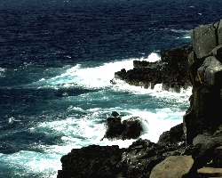 Sea Sea