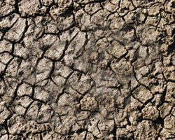 Dry land Dry land