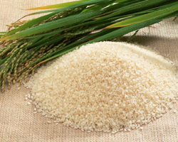 Rice Rice