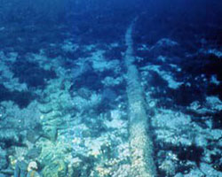 Underwater Cable Underwater Cable